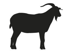 Hundekauartikel vom der Ziege Dein Hund darf...