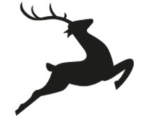 Hundekauartikel vom Hirsch Außergewöhnlicher...