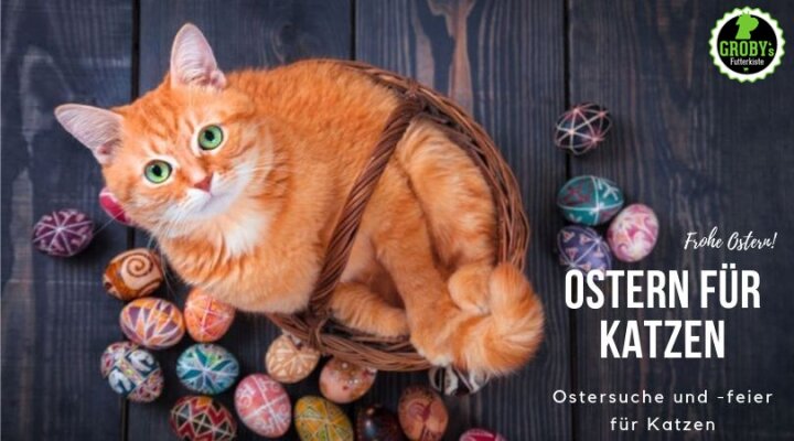 Ostern für die Katze - 