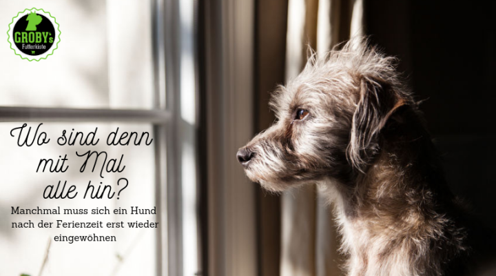 Ferienende – plötzlich wieder allein Zuhause - Ferienende – plötzlich wieder allein Zuhause