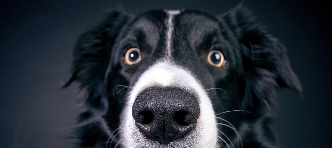 Schau mir in die Augen – Notfälle am Auge - Schau mir in die Augen – Notfälle am Auge