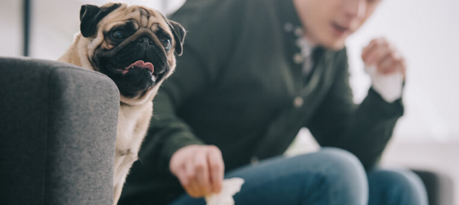 Hilfe Coronavirus – Wie versorge ich meine Haustiere? - Hilfe Coronavirus – Wie versorge ich meine Haustiere?