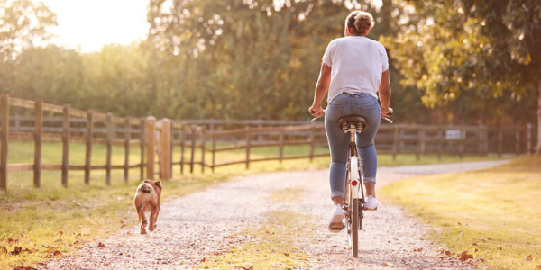 Fahrradfahren mit dem Hund – Teil 1: Wichtige Voraussetzungen -  Fahrradfahren mit dem Hund – Teil 1: Wichtige Voraussetzungen
