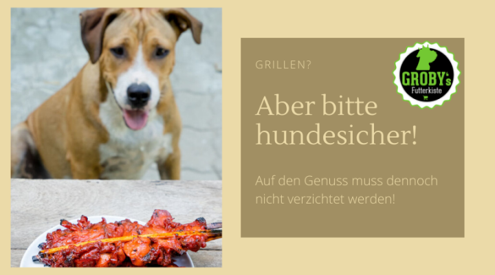 Grillen mit Hund - Gefahrlos und sicher - Grillen mit Hund - Gefahrlos und sicher