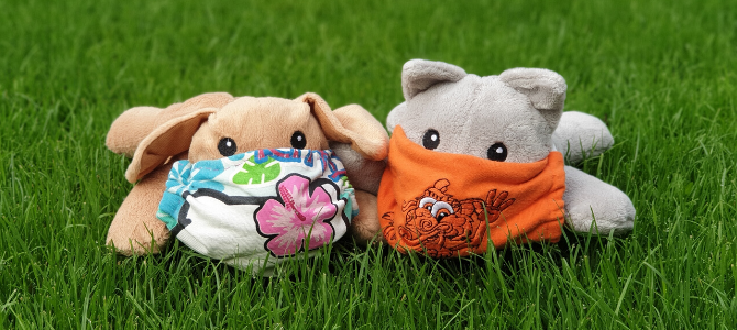 Corona Pandemie – Meldepflicht für Haustiere - Corona Pandemie – Meldepflicht für Haustiere