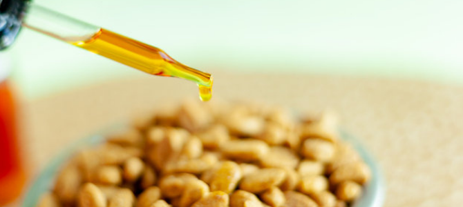 Öle und Fette – Wichtige Bestandteile in der Hundefütterung - Öle und Fette – Wichtige Bestandteile in der Hundefütterung