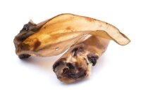 Rinderohren XL mit Muschel 50 Stück