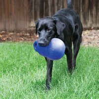 KONG Bounzer Ultra