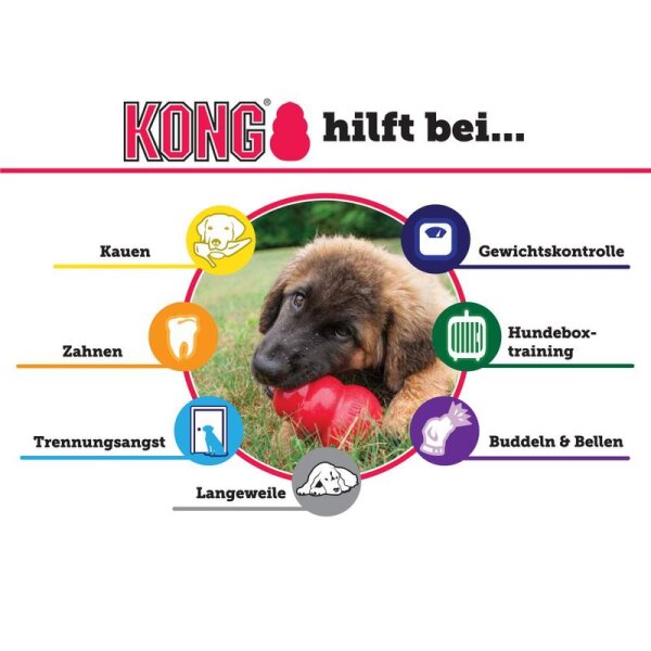 KONG Puppy