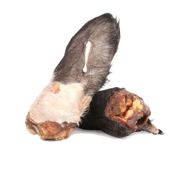 Rinderohren mit Fell und Ohrmuschel