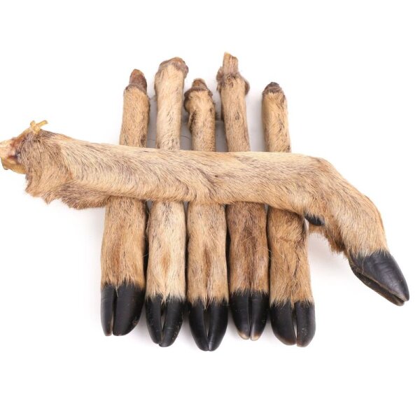 Rehunterbein mit Fell