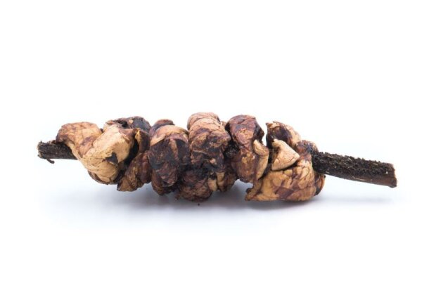 Schaschlik Spieß vom Rind mit Pansen und Lunge