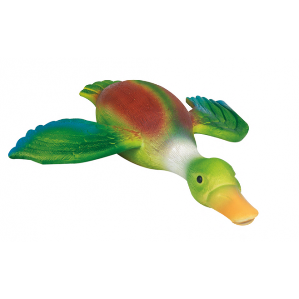 Latex Gans