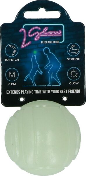 2 Glow Fetch and Catch 2 Match