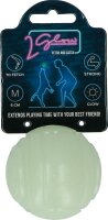 2 Glow Fetch and Catch 2 Match