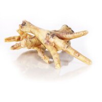 Hühnerkrallen Ständer vom Huhn