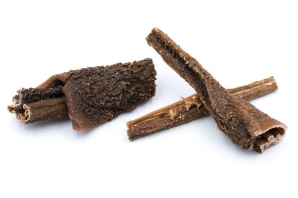 Lammpansen aus Deutschland