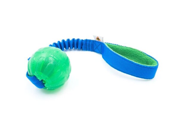Treat Dispensing Chew Ball M 7 cm mit Bungee-Seil