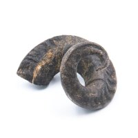 Lammhorn als Kauknochen