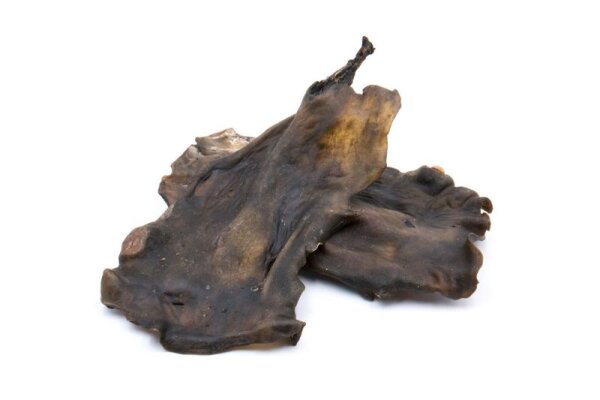 Pferdekopfhaut Kauplatten