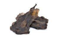 Pferdekopfhaut Kauplatten