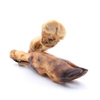 Kalbsunterbein mit Huf