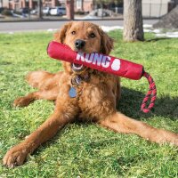 KONG Signature Stick mit Schlaufe M