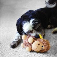 KONG Cruncheez Barnyard Sheep