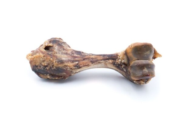 Schinkenknochen getrocknet
