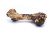 Schinkenknochen getrocknet