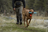 Ruffwear The Beacon™ Hunde Sicherheitslicht
