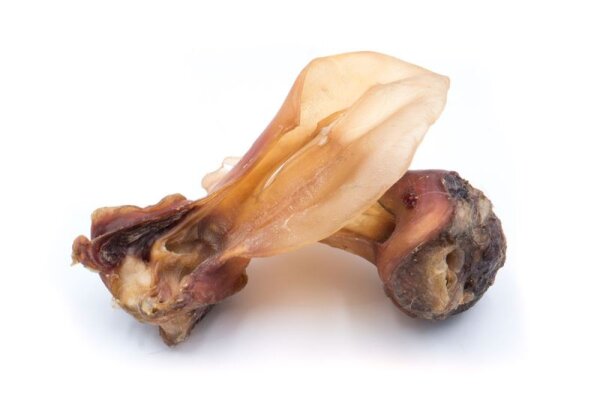 Rinderohren mit Muschel DE