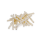Farmfood Dental Twist Extra Small