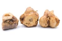 Rinder Endknochen XXL Kauknochen