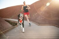 Ruffwear Front Range™ Hundeleine Red Sumac