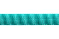 Ruffwear Front Range™ Hundeleine Aurora Teal