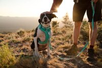 Ruffwear Front Range™ Hundeleine Aurora Teal