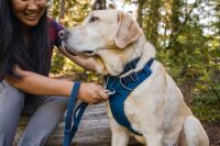 Ruffwear Front Range™ Hundeleine Blue Moon