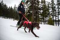 Ruffwear Patroller™ verstellbare Hundeleine