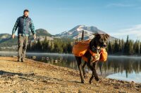 Ruffwear Approach™ Hunderucksack Orange Poppy L/XL
