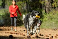 Ruffwear Gnawt-a-Cone™ Leckerli Wurfspielzeug Dandelion Yellow