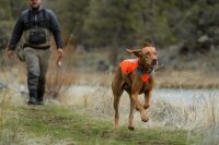 Ruffwear Track Jacket Hundewarnweste  XXS