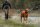 Ruffwear Track Jacket Hundewarnweste  XXS
