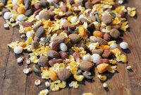 BEWI DOG basic menu 25 kg