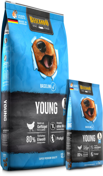 BELCANDO Baseline Young