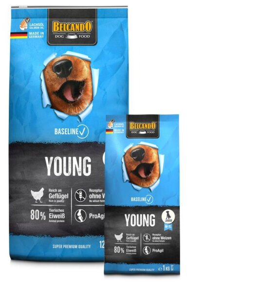 BELCANDO Baseline Young
