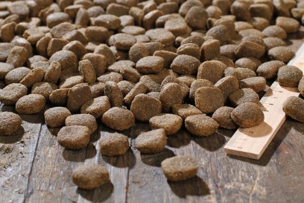 BEWI DOG lamb & rice 12,5 kg