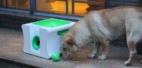 iDog Midi Automatischer Ballwerfer