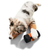 Hunter Trainer Snack Dummy S orange 15 cm