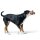 Hunter Trainer Snack Dummy Tough Pombas 20 cm